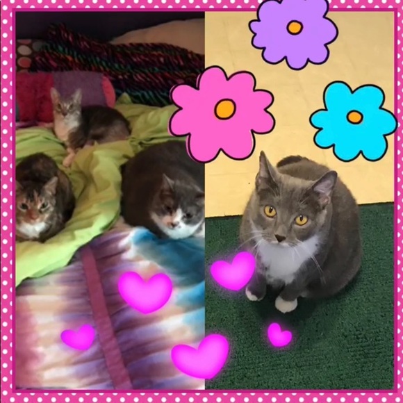 Meet your Posher, Heather - Picture 3 of 7